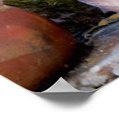 Poster cappadocian pottery (Coin)