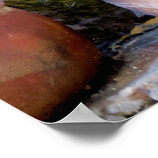 Poster cappadocian pottery (Coin)