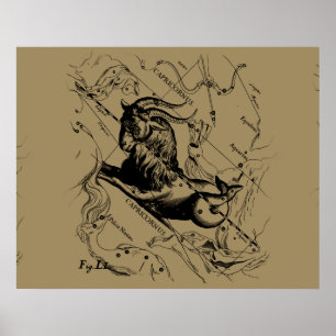 Poster Capricorn Constellation Hevelius 1690 on Taupe