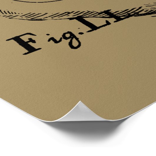 Poster Capricorne Constellation Hevelius 1690 sur Taupe (Coin)