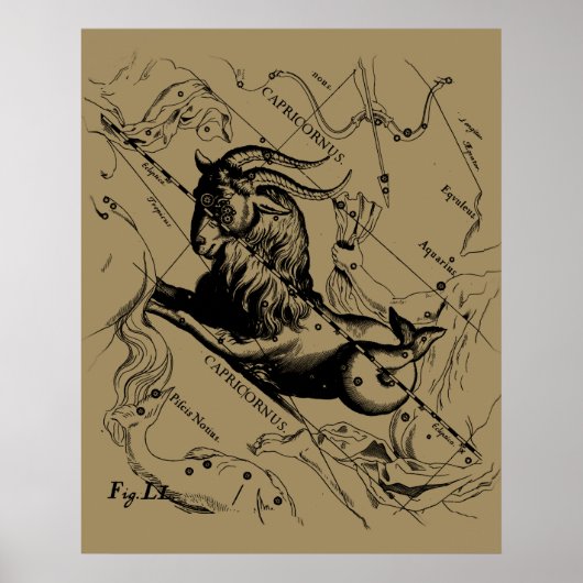 Poster Capricorne Constellation Hevelius 1690 sur Taupe (Devant)