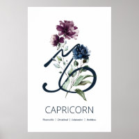 Capricorne Zodiac Star Sign Art