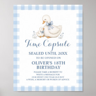 Poster Capsule Temporelle 1er Anniversaire Silly Goose Vi