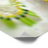 Poster Capteurs de rêve (Coin)