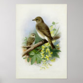 Poster Capteurs de vol, Illustration artistique (Devant)