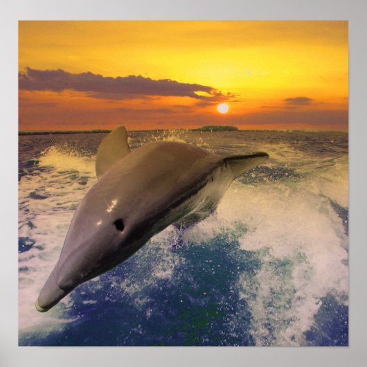 Poster Captiva Dusk (Devant)