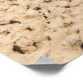 Poster Captiva Island (Coin)