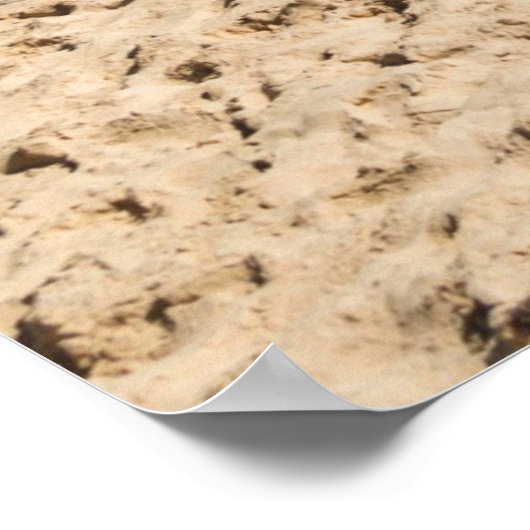 Poster Captiva Island (Coin)