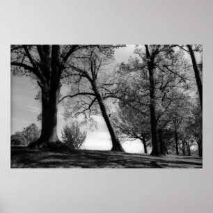 Poster Capture