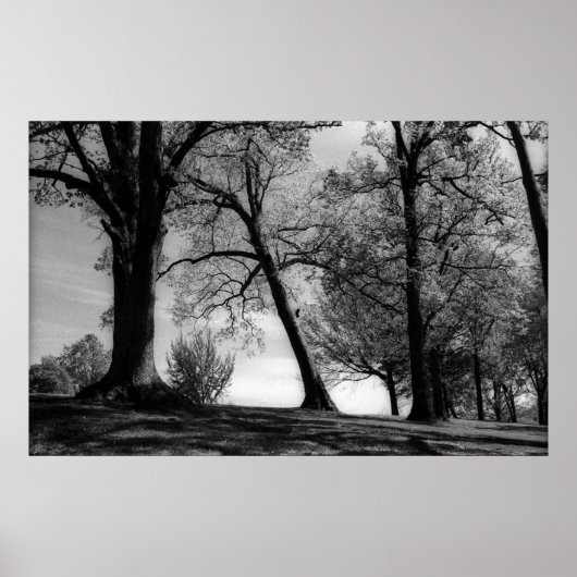 Poster Capture (Devant)