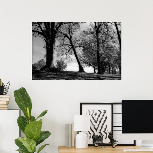 Poster Capture (Bureau à domicile)