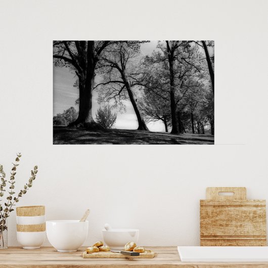 Poster Capture (Cuisine)