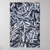 Poster Capture de poisson (Devant)