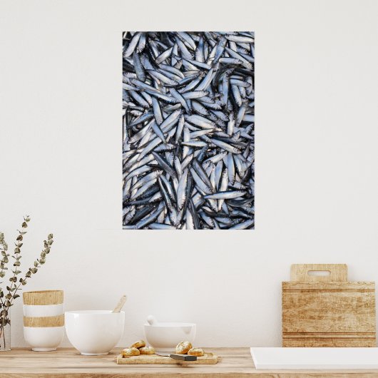 Poster Capture de poisson (Cuisine)