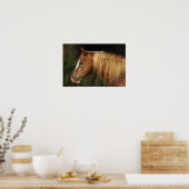 Poster Capture d'écran Appaloosa Horse 1 (Cuisine)