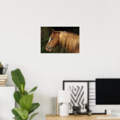 Poster Capture d'écran Appaloosa Horse 1 (Bureau à domicile)