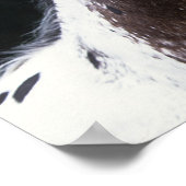 Poster Capture d'écran Appaloosa Horse 2 (Coin)