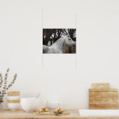 Poster Capture d'écran Dappy Grey Andalucien Stallion (Cuisine)