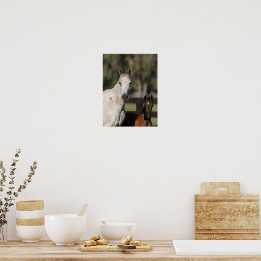 Poster Capture d'écran de Bob Langrish Arab Mare and Foie (Cuisine)