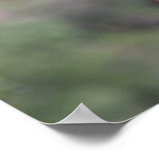 Poster Capture d'écran de la girafe (Coin)