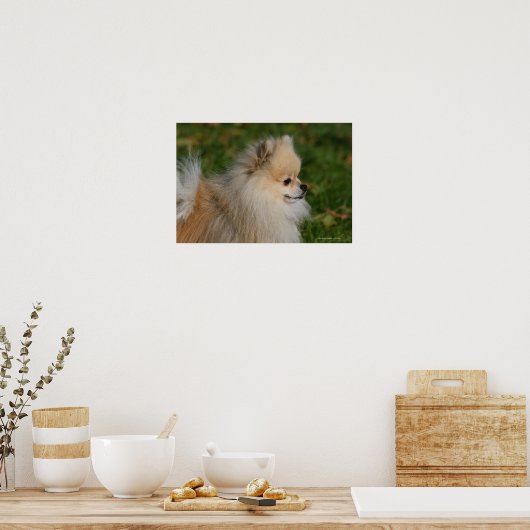 Poster Capture d'écran de Poméranie 2 (Cuisine)