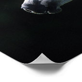 Poster Capture d'écran du cheval arabe 2 (Coin)