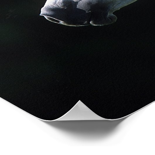 Poster Capture d'écran du cheval arabe 2 (Coin)