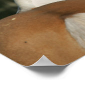 Poster Capture d'écran du Cheval de peinture 2 (Coin)