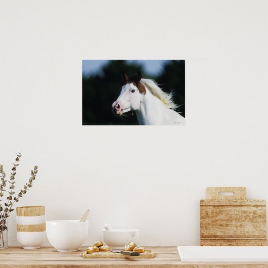 Poster Capture d'écran du Cheval de peinture 3 (Cuisine)