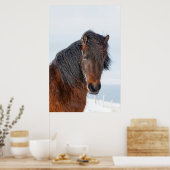 Poster Capture d'écran du cheval islandais Regal (Cuisine)