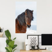 Poster Capture d'écran du cheval islandais Regal (Bureau à domicile)