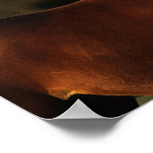 Poster Capture d'écran du cheval Thoroughbred (Coin)