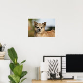 Poster Capture d'écran du Chihuahua (Bureau à domicile)
