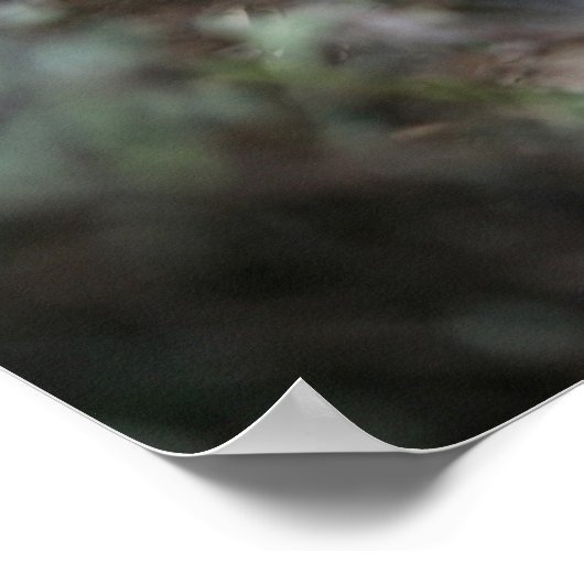 Poster Capture d'écran du chiot Carlin (Coin)