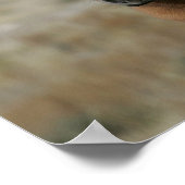 Poster Capture d'écran du poulal Mustang (Coin)