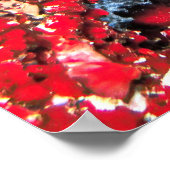 Poster Capture d'écran du récif des Maldives (Coin)