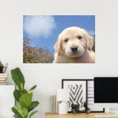 Poster Capture d'écran d'un joli chiot de récupérateur d' (Bureau à domicile)