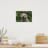 Poster Capture d'écran Golden Retriever 2 (Cuisine)