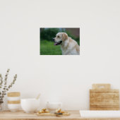 Poster Capture d'écran Golden Retriever 2 2 (Cuisine)