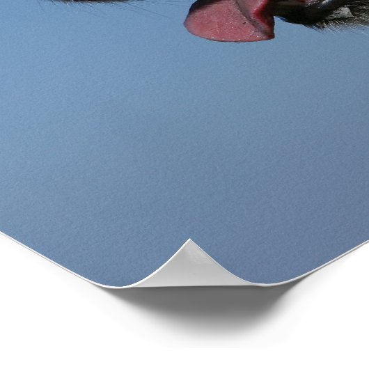 Poster Capture d'écran Golden Retriever 4 (Coin)