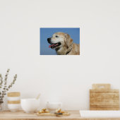 Poster Capture d'écran Golden Retriever 4 (Cuisine)