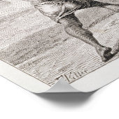 Poster Capture d'un alligator avec lasso (Coin)