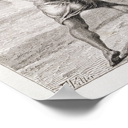 Poster Capture d'un alligator avec lasso (Coin)