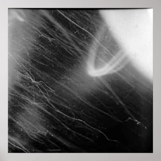 Poster Capture secrète d'Apollo 15 (Devant)