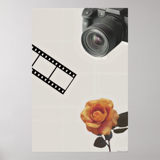 Poster Captured Bloom: Camera, Film & Rose Collage (Devant)