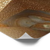 Poster Capturer Art Hiver Scène & Cristaux de neige et de (Coin)