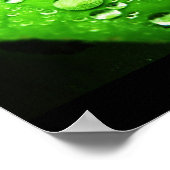 Poster Capturer la pluie (Coin)