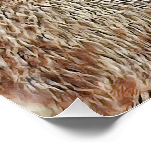 Poster Capybara (Coin)