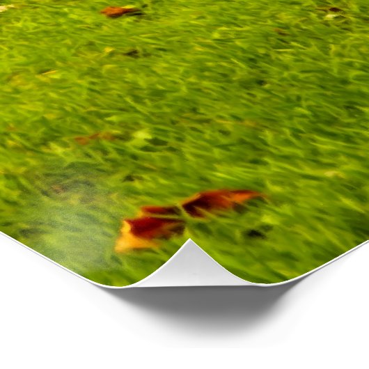 Poster Capybara (Coin)