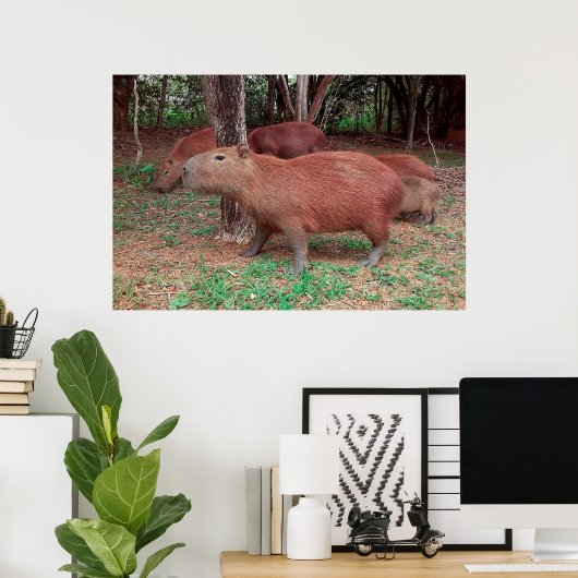Poster Capybara (Bureau à domicile)